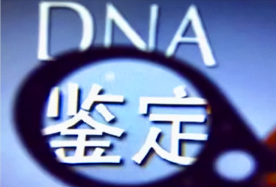 贵州省中医院能办理亲子鉴定吗,贵州省医院做DNA鉴定需要什么手续