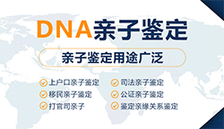 贵州省中医院能办理亲子鉴定吗，贵州省医院做DNA鉴定需要什么手续