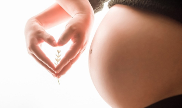 贵州省怀孕如何办理亲子鉴定,贵州省怀孕亲子鉴定需要的材料