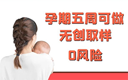 在[贵州省]怀孕几个月需要如何做DNA鉴定，贵州省产前亲子鉴定收费明细